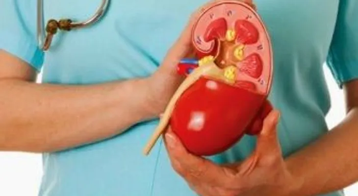 San Pedro Itzicán, el pueblo en México que muere de insuficiencia renal 