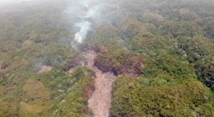 Fuegos forestales afectan Jarabacoa
