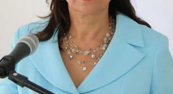 Peggy dice escogieron a Miguel para olvidar "rencillas" del PRD.