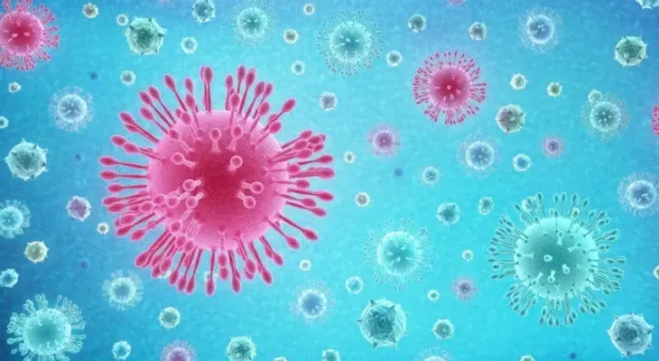 Descubren la "puerta" que se abre en el virus SARS-COV-2 para poder infectar