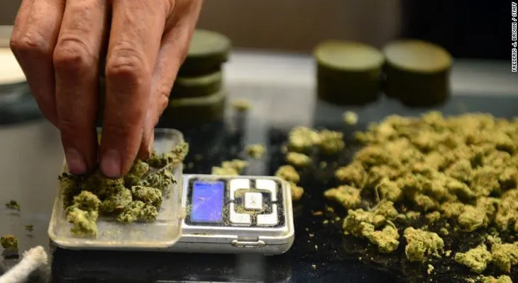 California, uno de los ocho estados que podrían legalizar la marihuana en noviembre