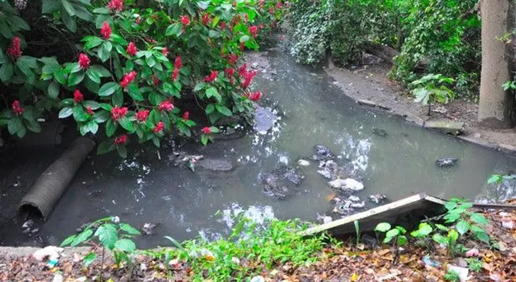 Cañada afectada por desborde  de cloaca  y por basura