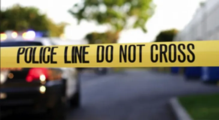 Disminuyen los homicidios en Nueva York a 290