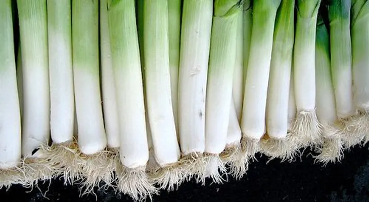 Conoce 7 beneficios del ajo porro