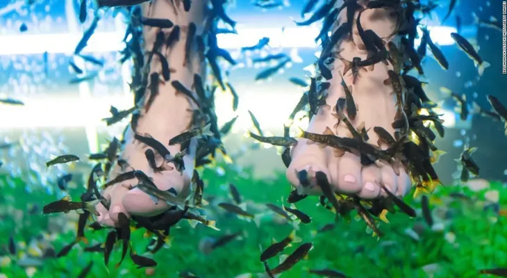 Una mujer pierde las uñas del pie tras una pedicura de peces