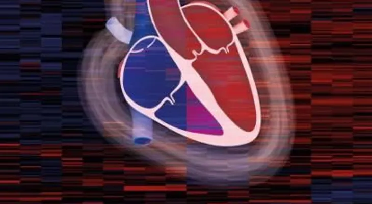 Crean el proteoma cardíaco: primer "mapa" identificará corazones buenos y malos 