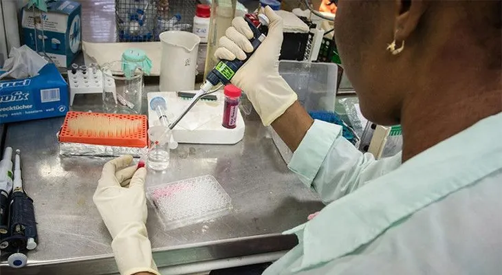 Mientras investigaban otra enfermedad, científicos encuentran un remedio contra el cáncer