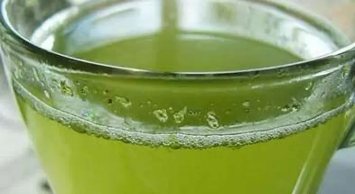 El te verde ayuda a prevenir el cáncer y retrasa el envejecimiento 