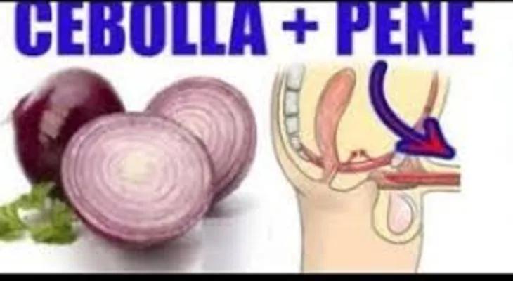Cebolla y ajo: no hay base científica de que mejoren la virilidad