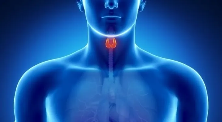 4 remedios para una glándula tiroides lenta