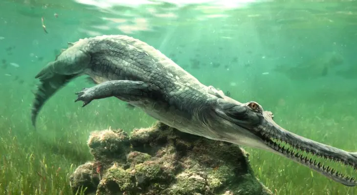 Hallan nueva especie extinta de cocodrilo en rocas de la Gran Esfinge de Guiza