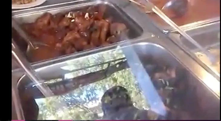 Ratón en pica pollo chino causa furor (Video)