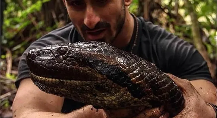 Anaconda gigante se comerá a hombre en directo 