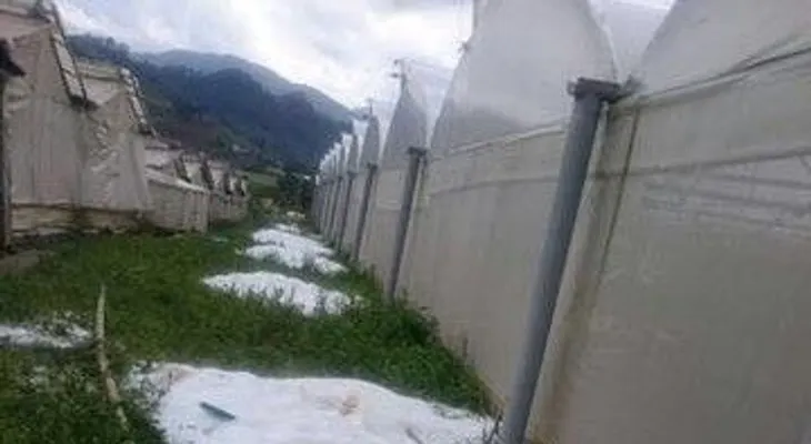 Una fuerte granizada sorprende a residentes de Constanza