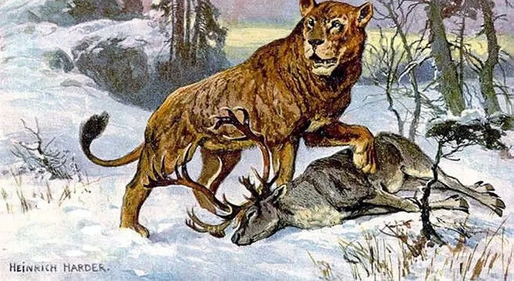 Científicos rusos podrían revivir al león cavernario extinto hace 10.000 años