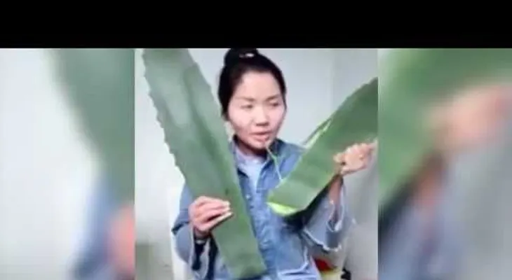 Come una planta durante una transmisión en vivo y descubre que es venenosa