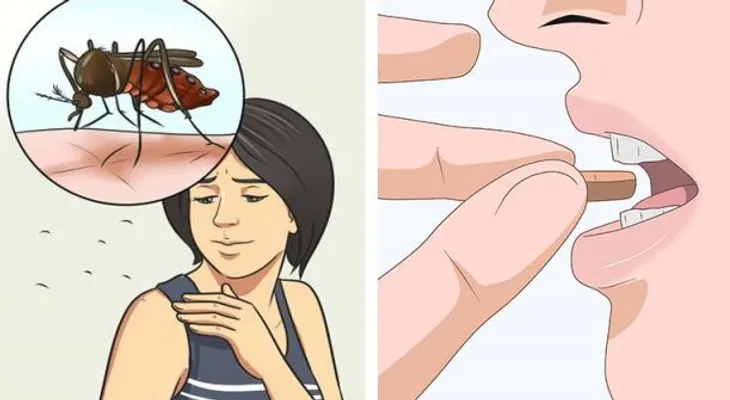 Tome esta vitamina para repeler los mosquitos durante el verano