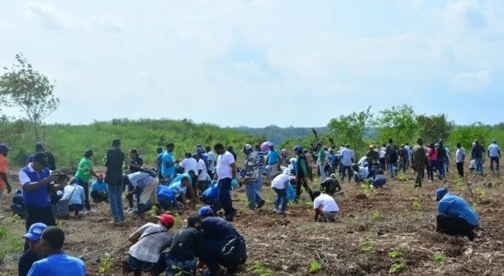 Empleados del CEA inician siembra de 35 mil árboles en San Pedro de Macorís
