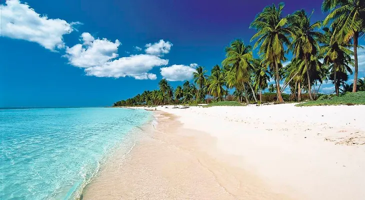 Desarrollan con éxito plan piloto sobre sarzago en playas de Uvero Alto