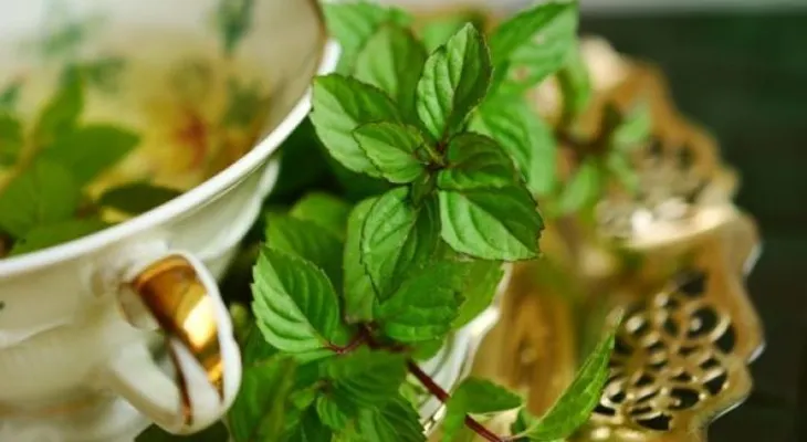 El té de menta mejora dolores estomacales y reduce los vómitos y las náuseas 