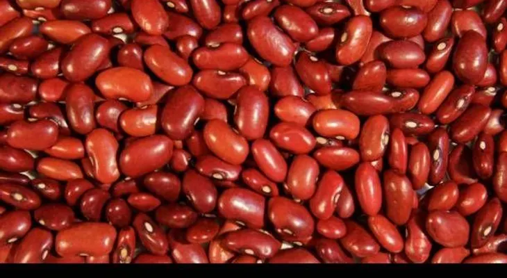 Una eficaz receta para la anemia (Video)