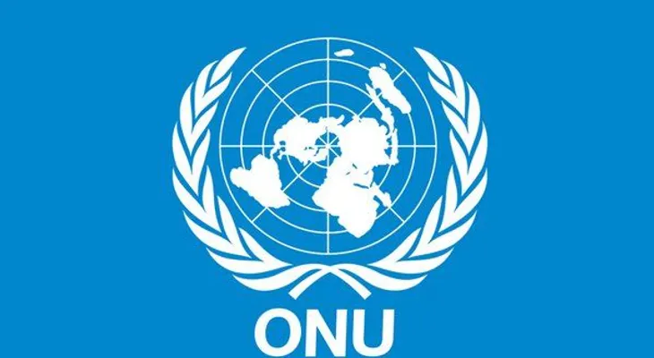 La ONU pide a países OEA fondos para garantizar futuro de la CIDH