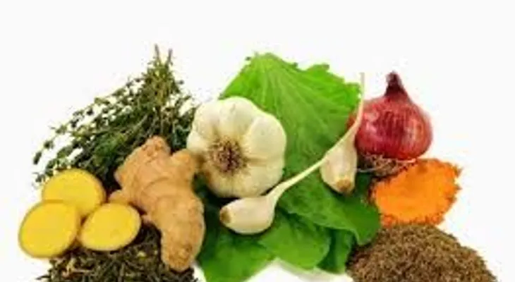 10 Antibióticos naturales que no requieren prescripción médica