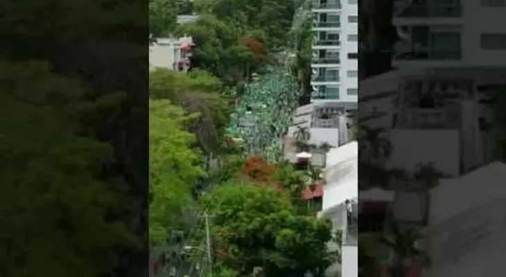 Marcha Verde en la Gómez con Kennedy; vista panorámica; creen ha sido de la más exitosa