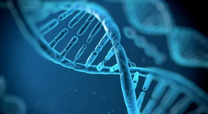 Los genes no lo son todo en la herencia