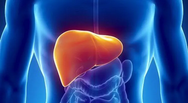 Protege tu salud hepática con estos sabios consejos