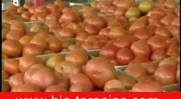 Como sacar los parásitos del cuerpo
