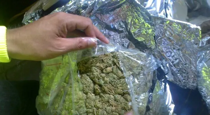 Profesora come galleta con marihuana sin saberlo 