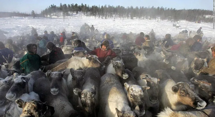 ¡Animales salvajes! Los 11 viajes más extremos del mundo