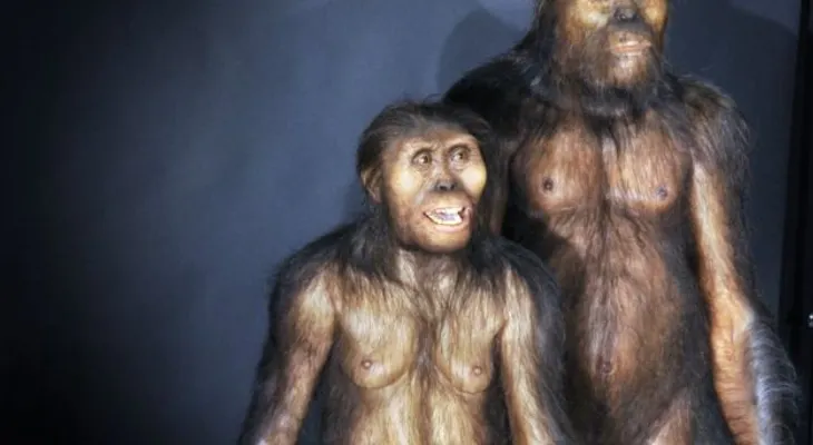 Especie humana extinta amamantó durante el primer año de vida, según estudio