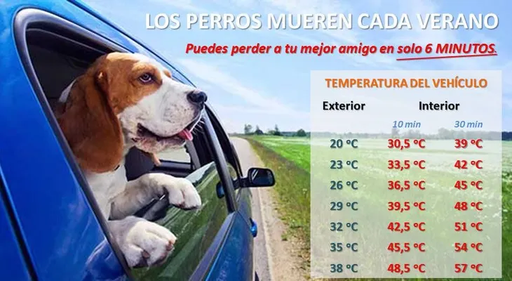 Advertencia policial: Nunca dejes a tu perro encerrado en el vehículo