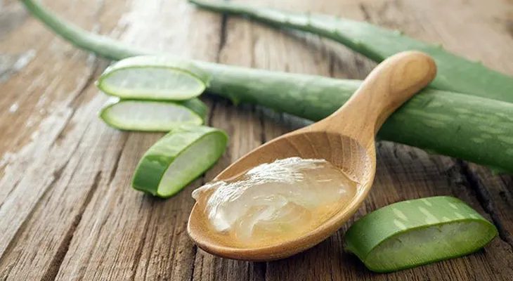 La sábila o aloe vera, para qué sirve y cómo beneficiar tu salud con ella