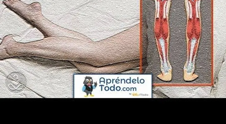 Razones por las que tienes calambres en las piernas por la noche y cómo solucionarlo