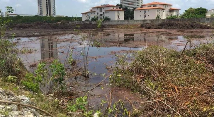 ¿Ecocidio? Ciudadanos buscan evitar la destrucción de un manglar en Cancún