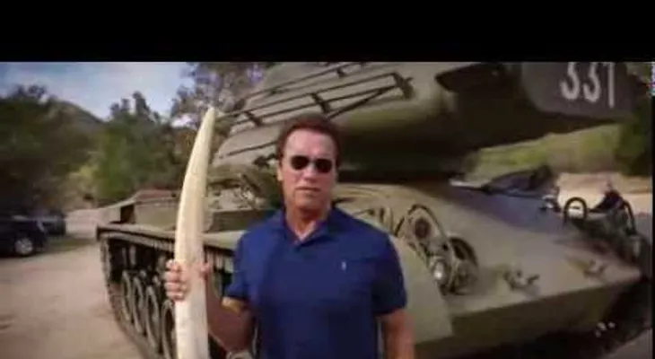 "Hasta la vista, marfil": Schwarzenegger hace explotar un colmillo de elefante