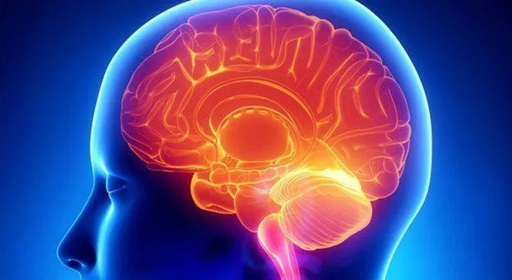 5 efectos muy negativos del azúcar al cerebro: Daña la memoria y provoca otros GRAVES daños