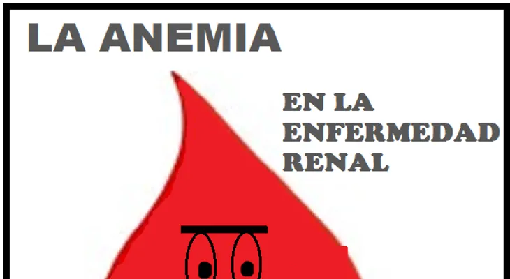 Tipos de anemia en función de su origen