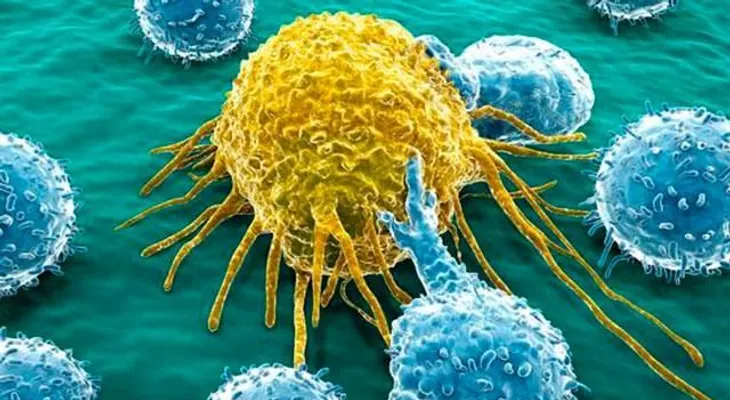 Científicos convierten células de cáncer en glóbulos blancos, curaría una de las enfermedades más mortales 