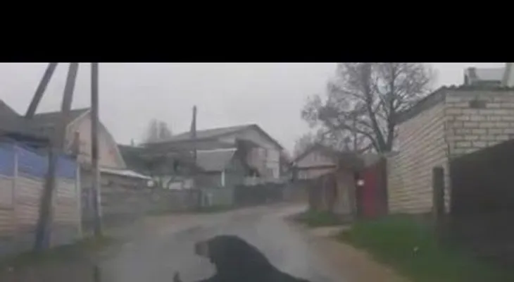 Solo en Bielorrusia: Un hombre detiene un coche para mostrarle cómo se despatarra