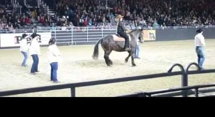 El caballo comienza un baile épico