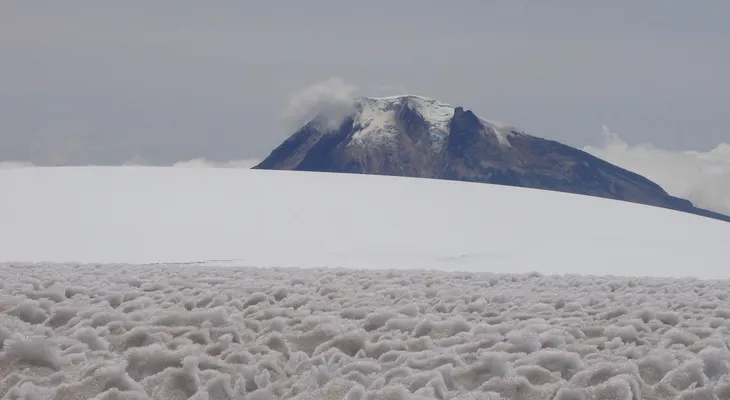 Colombia perdió el 18% de su área glaciar en los últimos siete años; su biodiversidad está en peligro