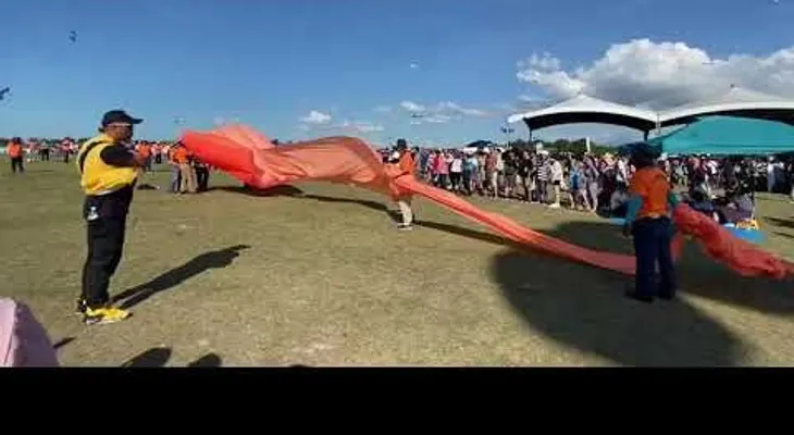 El video insólito del fin de semana 
