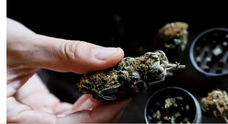 Cannabis medicinal llega a España con receta y uso hospitalario