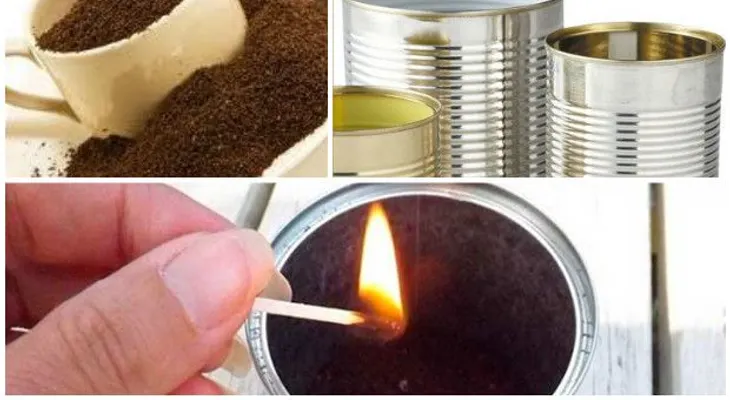 Un repelente de mosquitos 100% natural y gratis