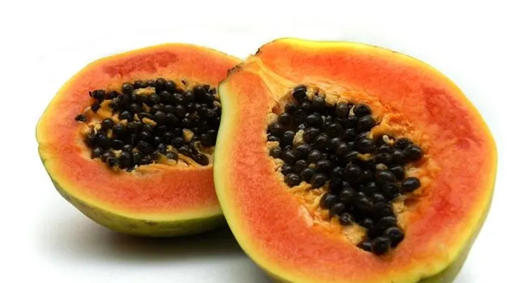 Increíbles beneficios semillas de la lechosa; la fruta mejora funcionamiento del tracto intestinal 