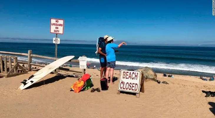 Un presunto ataque de tiburón deja un muerto en Cape Cod, Massachusetts